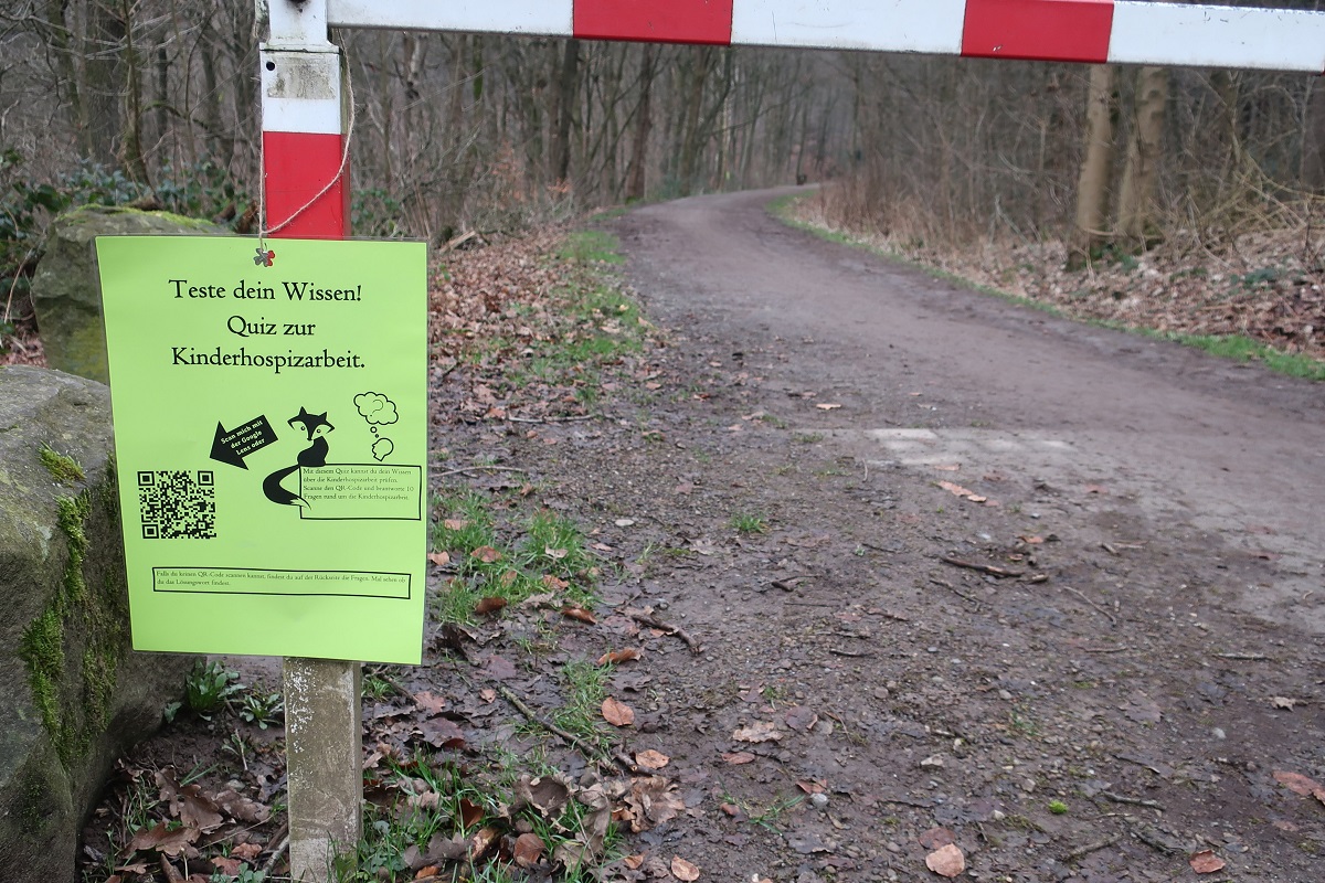 Bild8